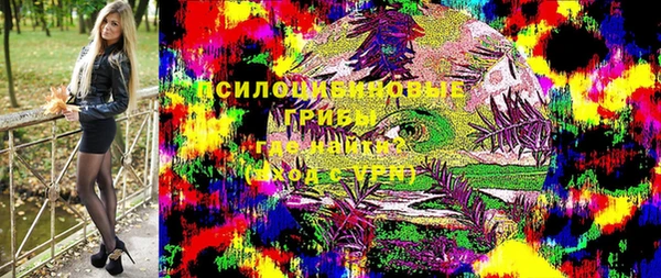 ешки Алзамай