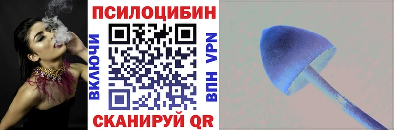 Псилоцибиновые грибы Psilocybe  где купить   blacksprut tor  Багратионовск 